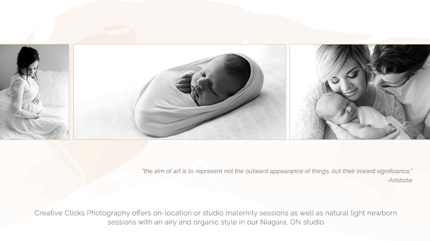 Tamsen Lee Photography | 3839 Victoria Ave, Vineland, ON L0R 2C0, Canada | Phone: (289) 567-0699