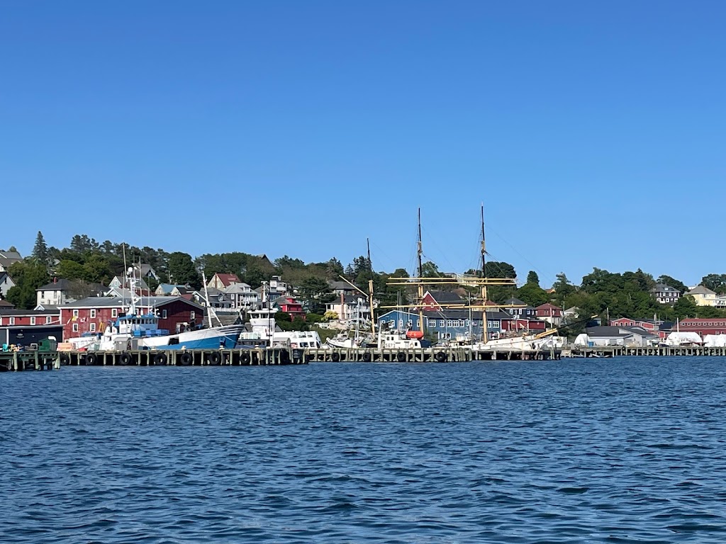 Torpedo Rays Scuba Adventures | 625 Windmill Rd, Dartmouth, NS B3B 1B6, Canada | Phone: (902) 481-0444
