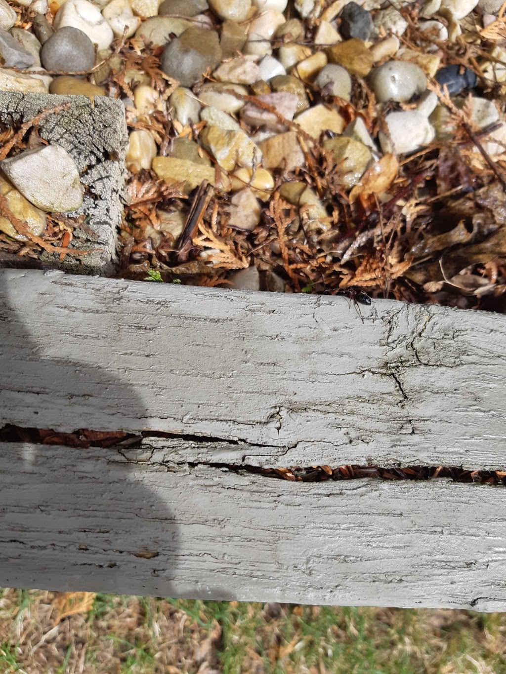 Zenas Extermination | 4523 Sunset Dr, Alberta Beach, AB T0E 0A0, Canada | Phone: (780) 909-3003