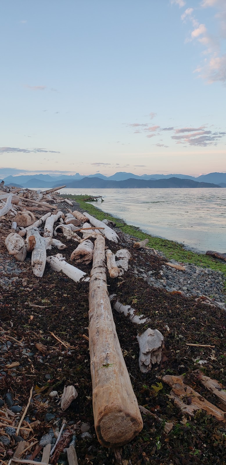 Silver Phoenix Medicine | 1542 Heriot Bay Rd, Heriot Bay, BC V0P 1H0, Canada | Phone: (250) 285-2545