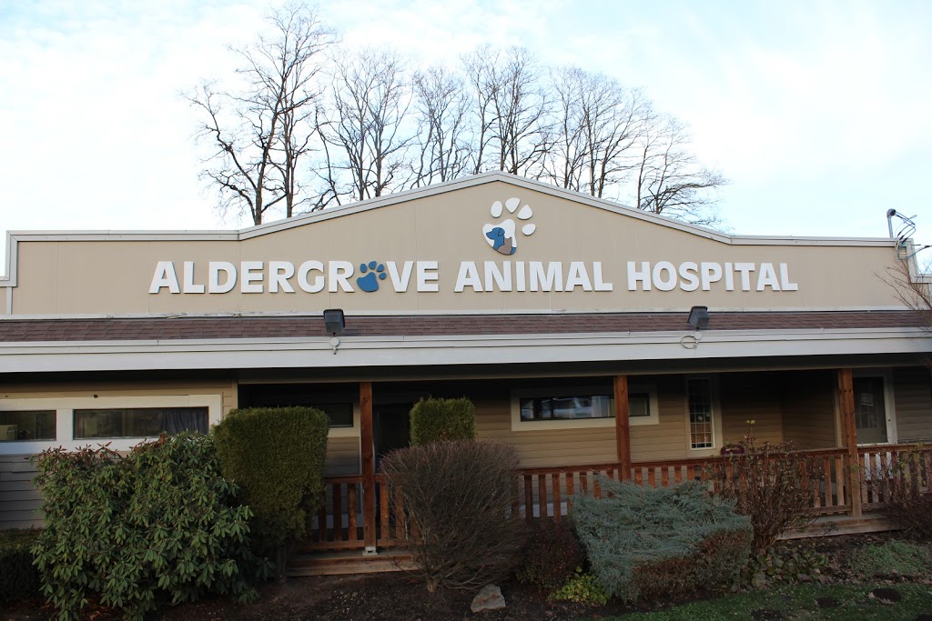 Aldergrove Animal Hospital Ltd | 26841 Fraser Hwy, Aldergrove, BC V4W 3E4, Canada | Phone: (604) 856-7707