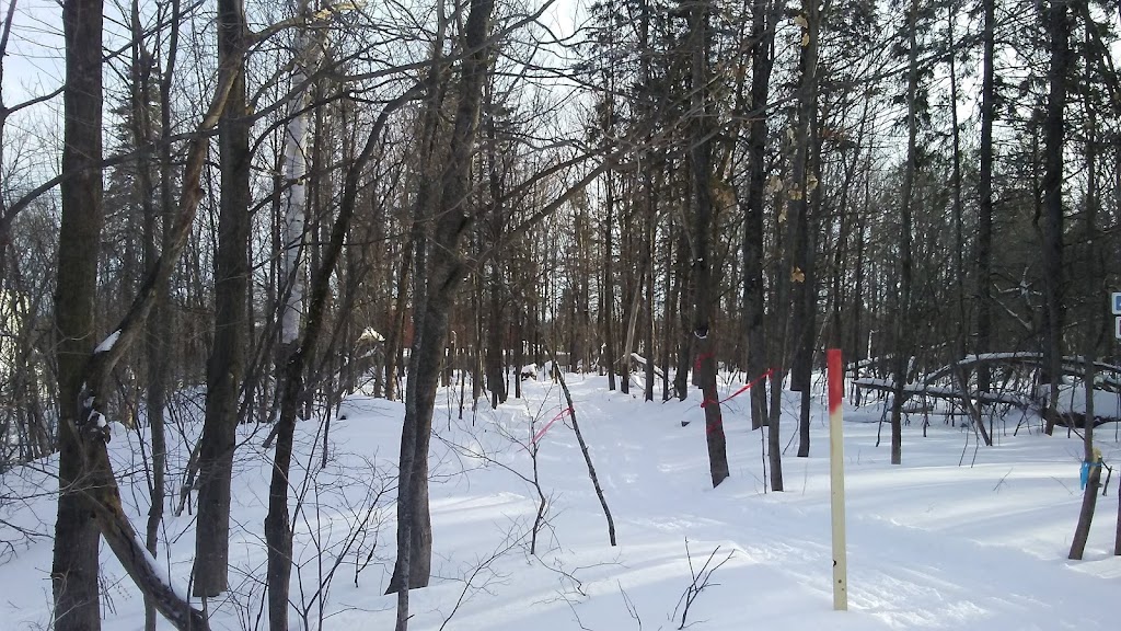 Boischatel Sports Center | 160 Rue des Grès, Boischatel, QC G0A 1H0, Canada | Phone: (418) 822-4501