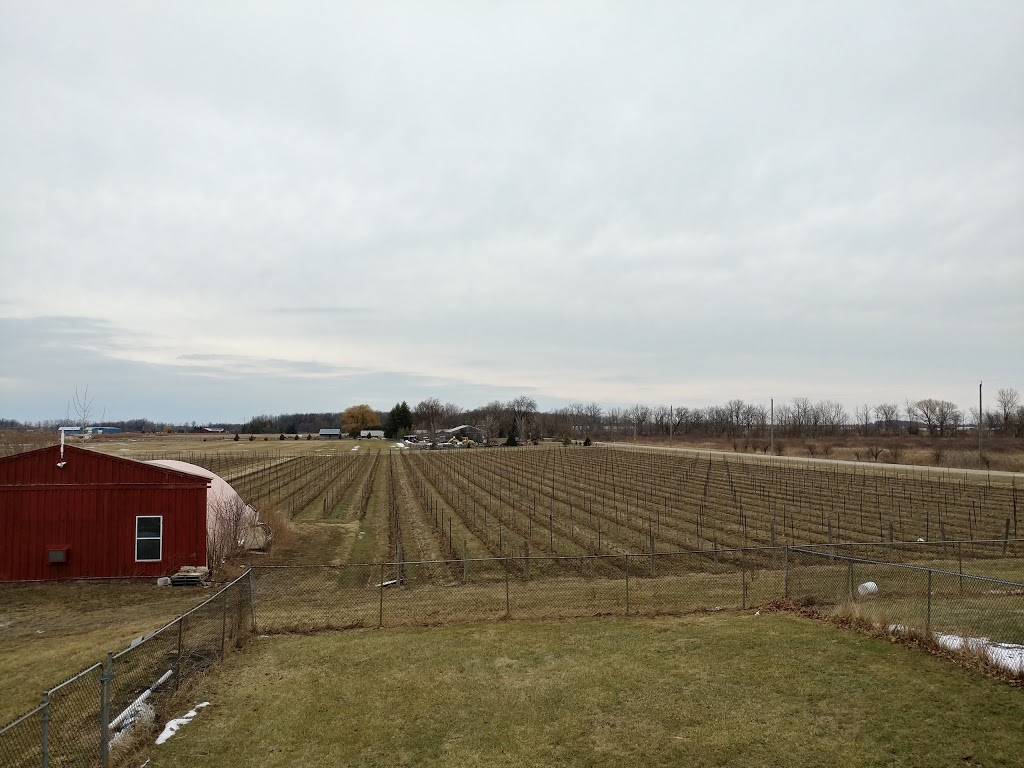 Maleta Estate Winery | 450 Queenston Rd, Niagara-on-the-Lake, ON L0S 1J0, Canada | Phone: (905) 685-8486