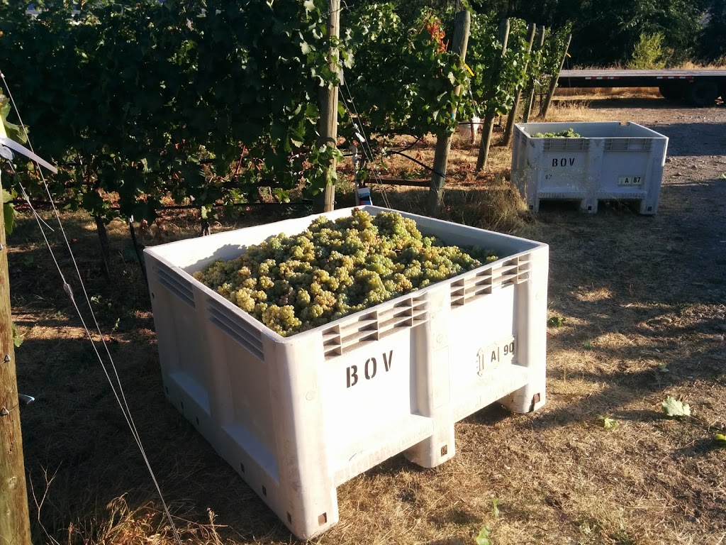 the del Ray | 8949 122 Ave, Osoyoos, BC V0H 1V2, Canada | Phone: (250) 495-2565