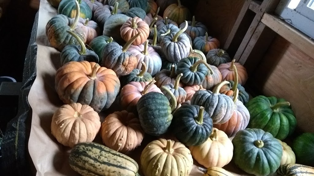 Glorious Organics Co-op | 1374 256 St, Aldergrove, BC V4W 2J4, Canada | Phone: (604) 857-1400