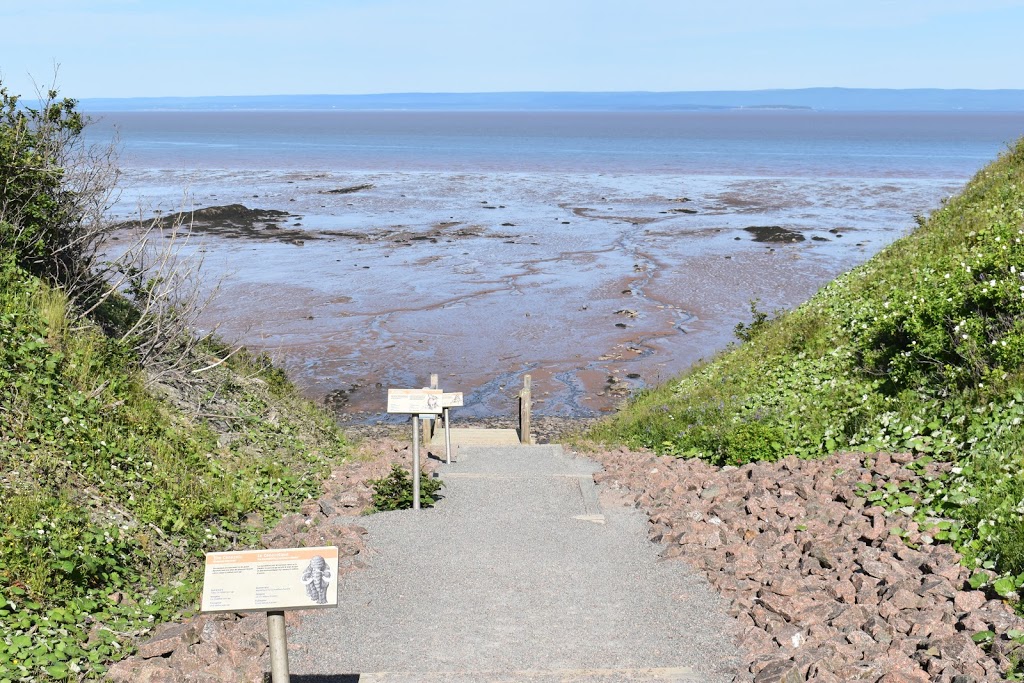 Joggins Fossil Cliffs | 100 Main St, Joggins, NS B0L 1A0, Canada | Phone: (902) 251-2727