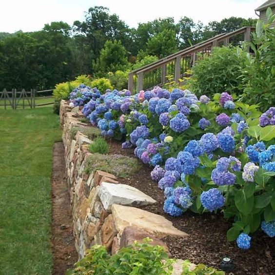 HortiCut.com | 14 Rue Racicot, Fassett, QC J0V 1H0, Canada | Phone: (819) 410-0364