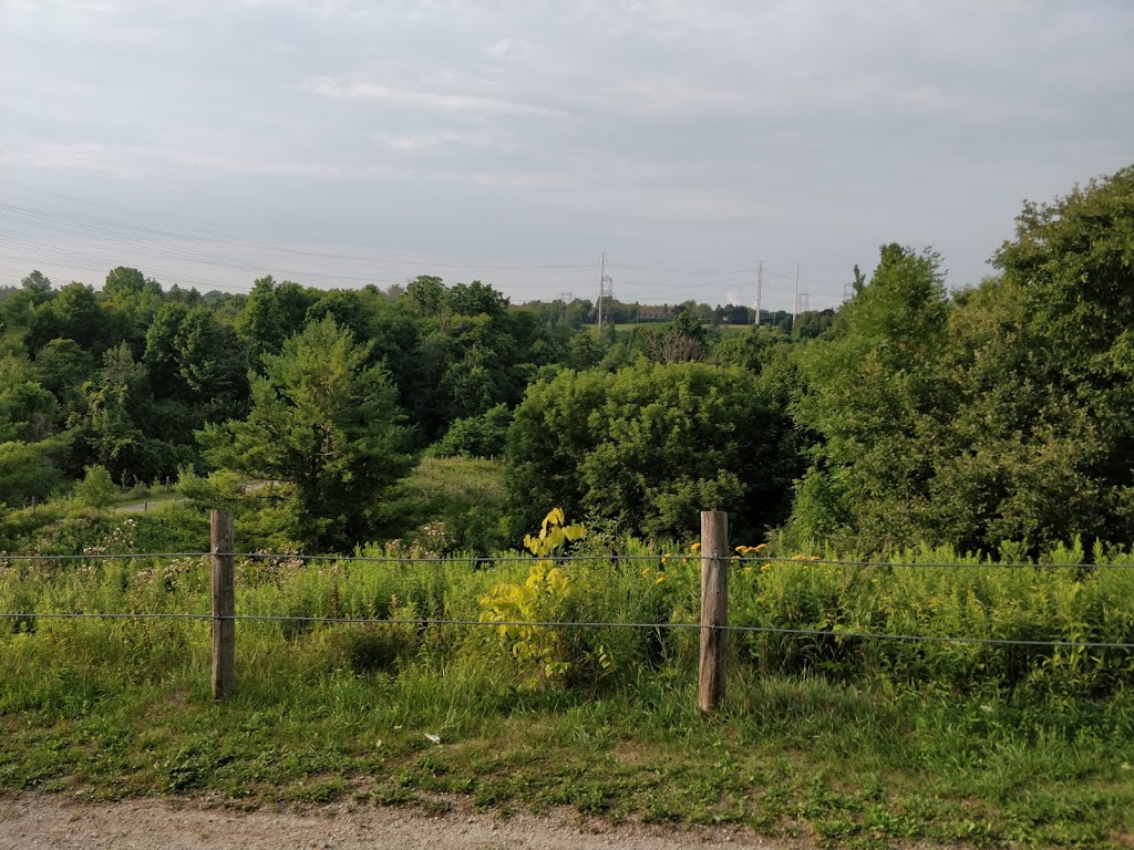 Botany Hill Park | 277 Orton Park Rd, Scarborough, ON M1G 3T4, Canada | Phone: (416) 392-2489