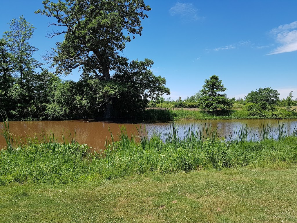 International Country Club of Niagara | 2900 College Rd, Stevensville, ON L0S 1S0, Canada | Phone: (905) 382-2000
