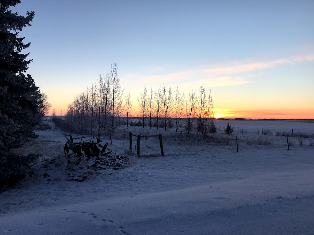 Double T Ranch | Box 213, QuAppelle, SK S0G 4A0, Canada | Phone: (306) 535-5649