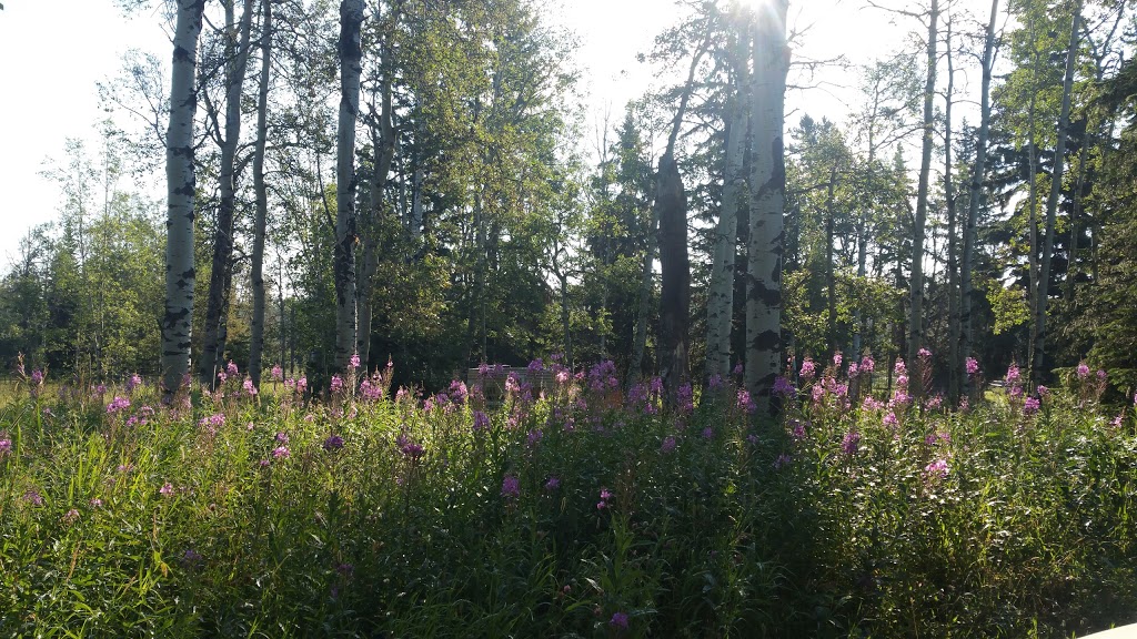 The Dragonfly Ranch | Range Rd 52, Water Valley, AB T0M 2E1, Canada | Phone: (403) 608-2985