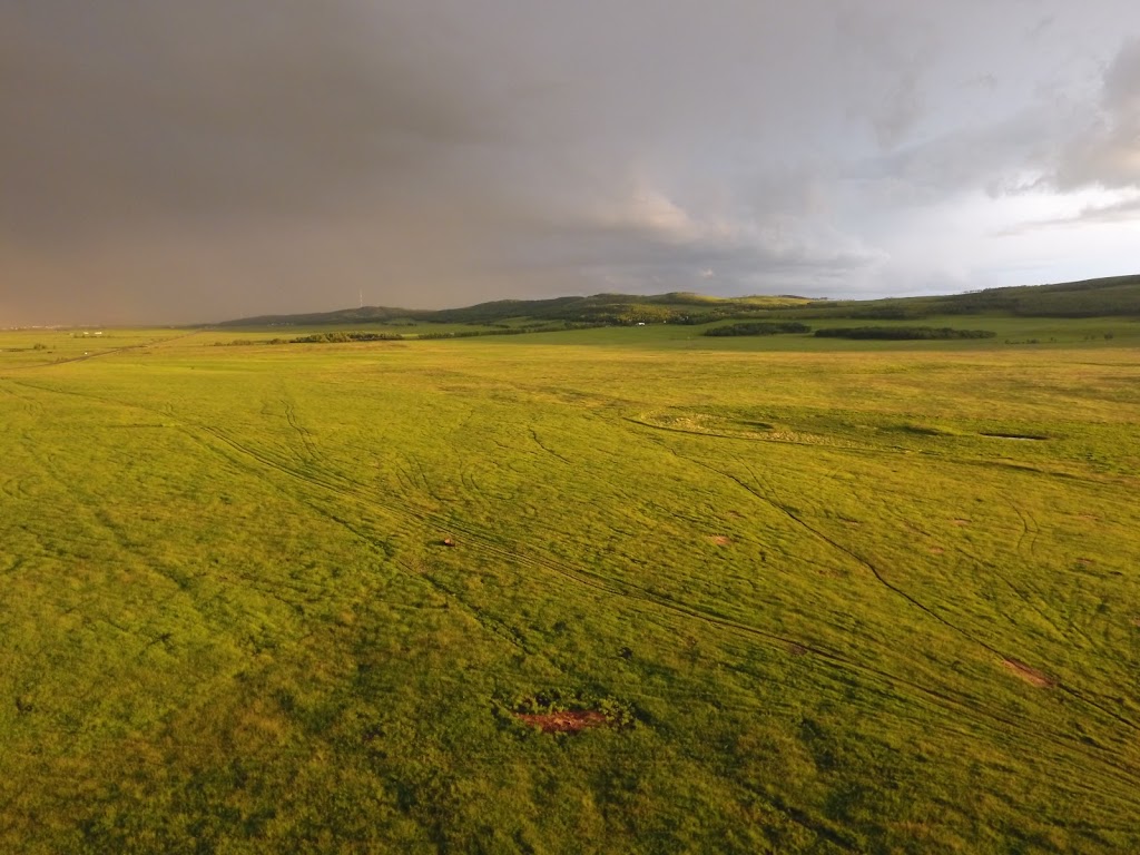 Tullichewan Ranch | Box 130, Black Diamond, AB T0L 0H0, Canada | Phone: (403) 803-9190