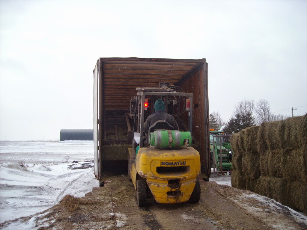 Norfoin Inc. | 174 Rang du Bas de la Rivière S, Saint-Césaire, QC J0L 1T0, Canada | Phone: (450) 830-9748