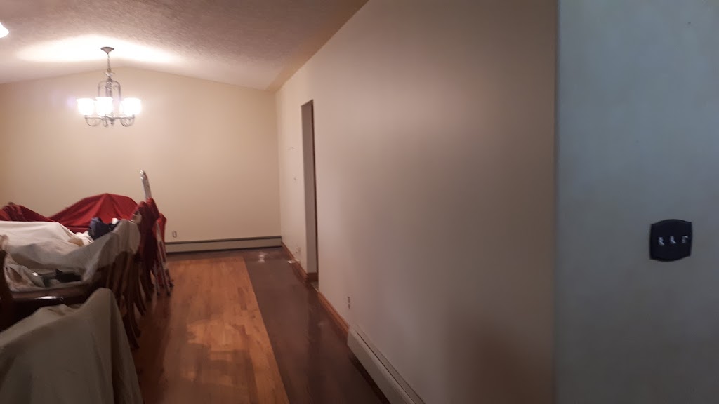 Vertical Edge Painting | 16 Fairbank Rd, Red Deer, AB T4N 4X7, Canada | Phone: (587) 679-0611