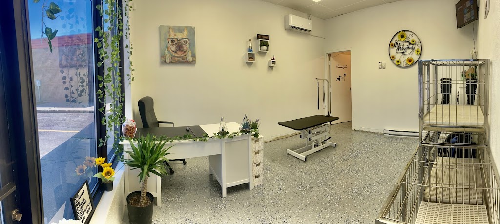 Scruffy To Fluffly by Shian | 95 Dufferin St, Perth, ON K7H 3A5, Canada | Phone: (613) 246-1145
