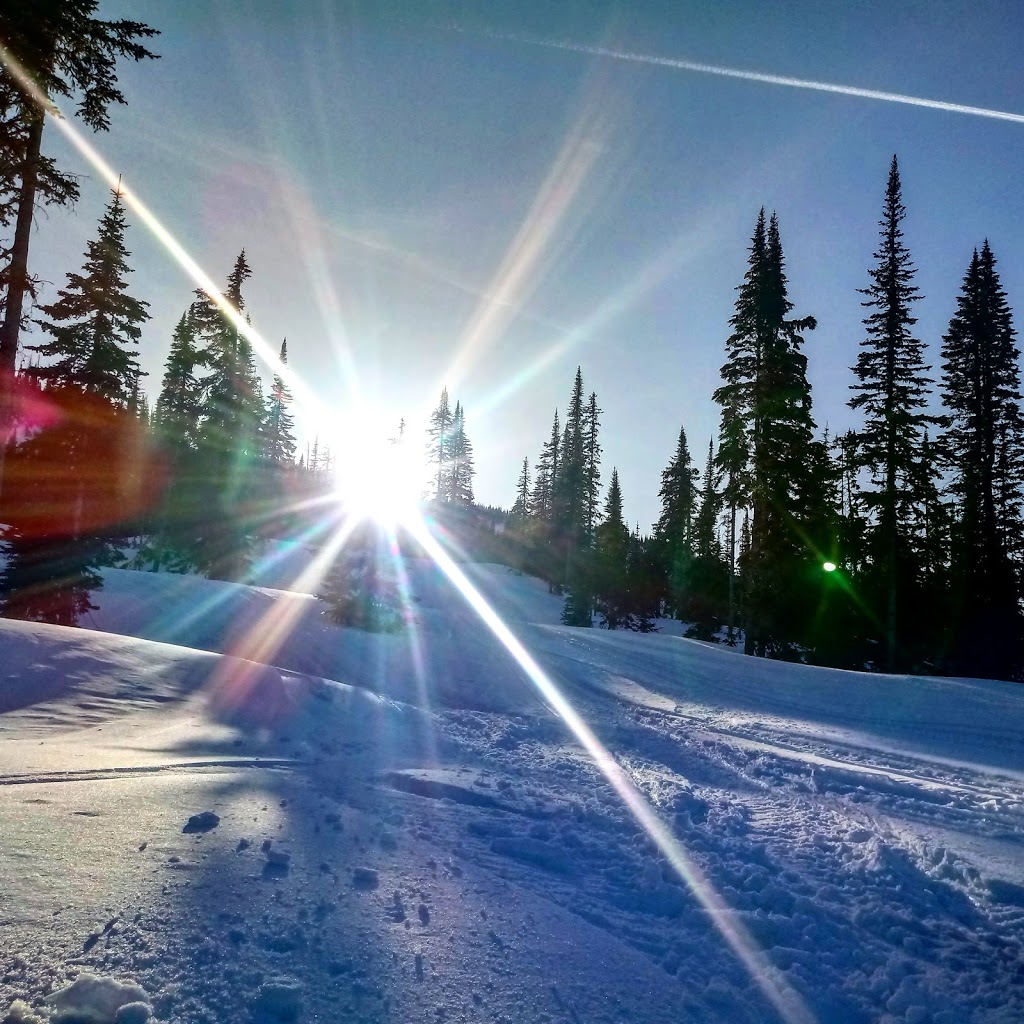 Bears Lair Lodge | 1301 Burfield Dr, Sun Peaks, BC V0E 5N0, Canada | Phone: (250) 578-8743