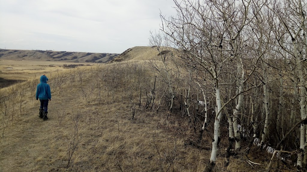 Hidden Valley Wildlife Refuge | Sod Farm Road, Craven, SK S0G 0W0, Canada