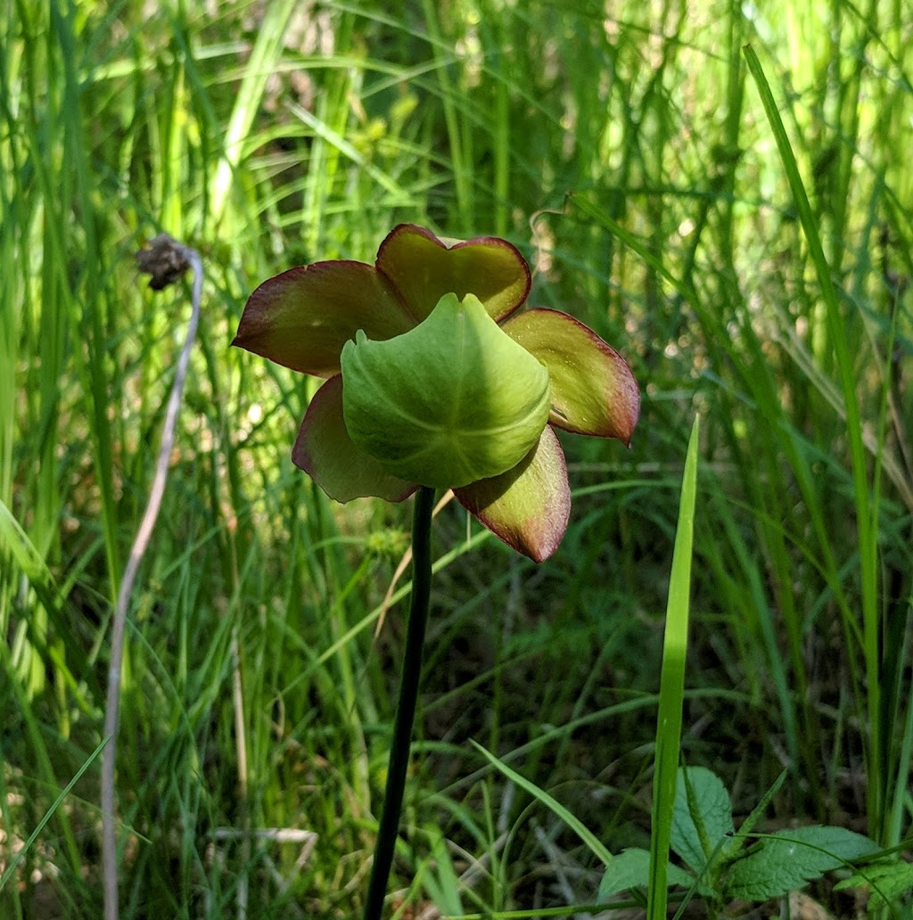 Purdon Conservation Area | Concession Rd 8, Lanark Highlands, ON K0G 1M0, Canada | Phone: (613) 253-1756