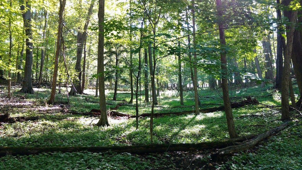 Iroquoia Heights Conservation Area | Bruce Trail, Hamilton, ON L9K 1E6, Canada