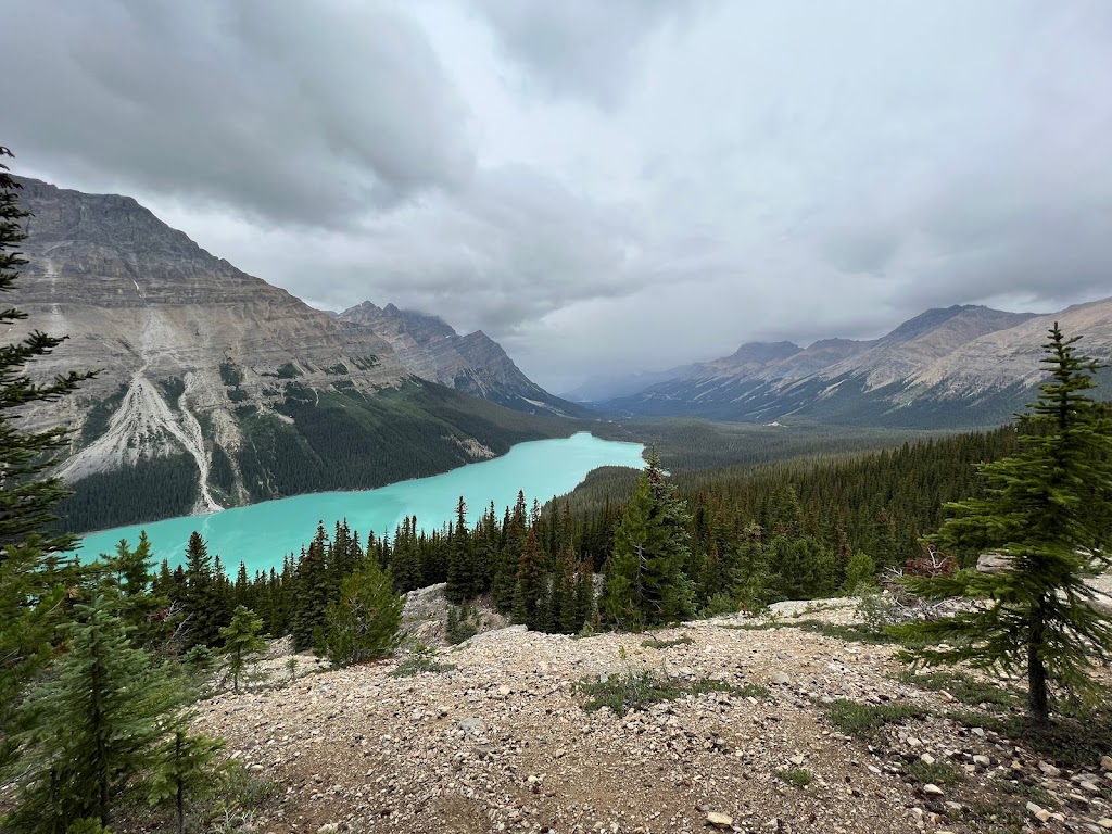 Northface Bistro | 1 Whitehorn Dr, Lake Louise, AB T0L 1E0, Canada | Phone: (403) 522-3555