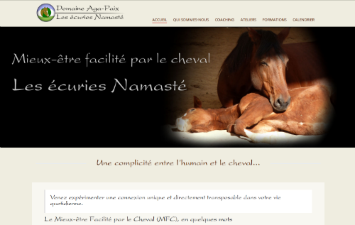 Catalyse Web | 821 Rue Jacques Cartier S, Stoneham-et-Tewkesbury, QC G3C 1Y2, Canada | Phone: (418) 848-1853