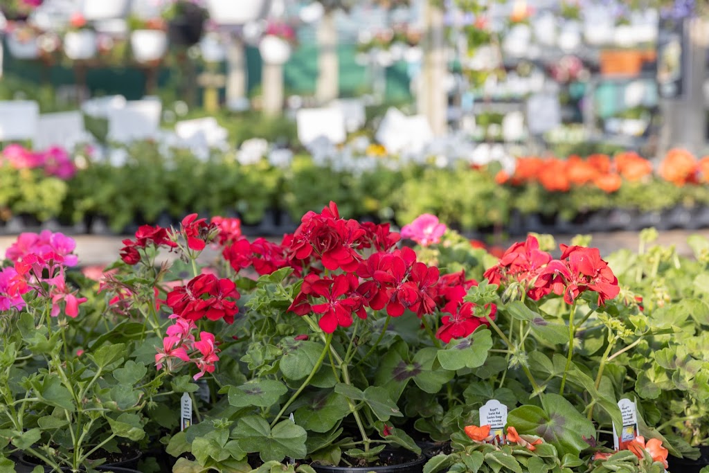 Centre de Jardin et Extermination Denis Brisson | 587 Chem. Larocque, Salaberry-de-Valleyfield, QC J6T 4C9, Canada | Phone: (450) 373-5515