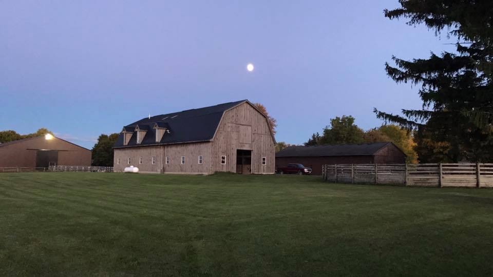 Double R Stables | 14848 Fourteen Mile Rd, London, ON N0M 1P0, Canada | Phone: (519) 280-5433