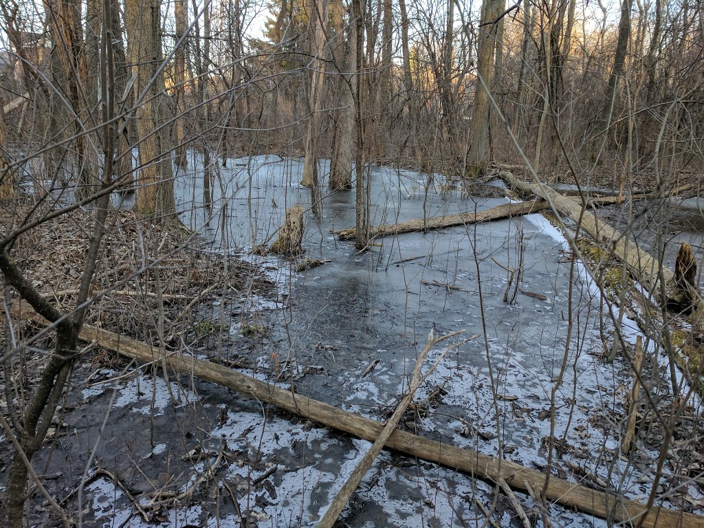 Springmount Park | 106 Roehampton Ct, Kitchener, ON N2A 3K8, Canada