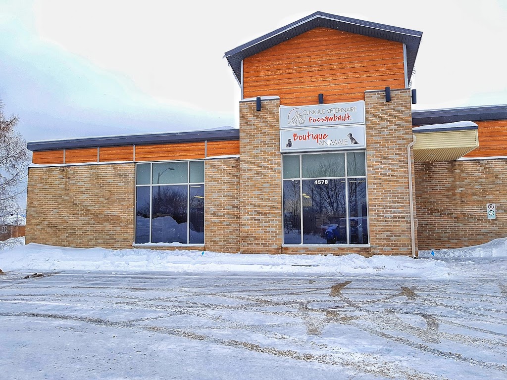 Lavage de Vitres Portneuf | 4 Rue de la Tourelle, Fossambault-sur-le-Lac, QC G3N 0M8, Canada | Phone: (581) 849-4004