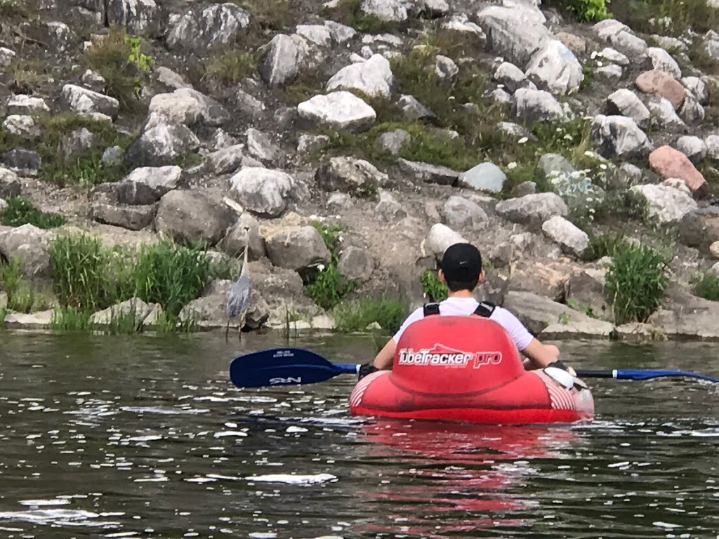 Grand River Rafting Company | 31 Mechanic St, Paris, ON N3L 1K1, Canada | Phone: (519) 442-2519