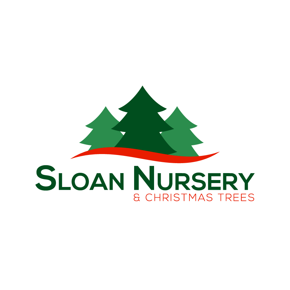 Sloan Nursery & Christmas Trees | 30718 Zone Rd 8, Bothwell, ON N0P 1C0, Canada | Phone: (519) 695-3525