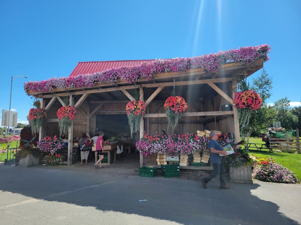 Ferme Monarque | 610 Rue de Quen, Saint-Gédéon, QC G0W 2P0, Canada | Phone: (581) 235-8541