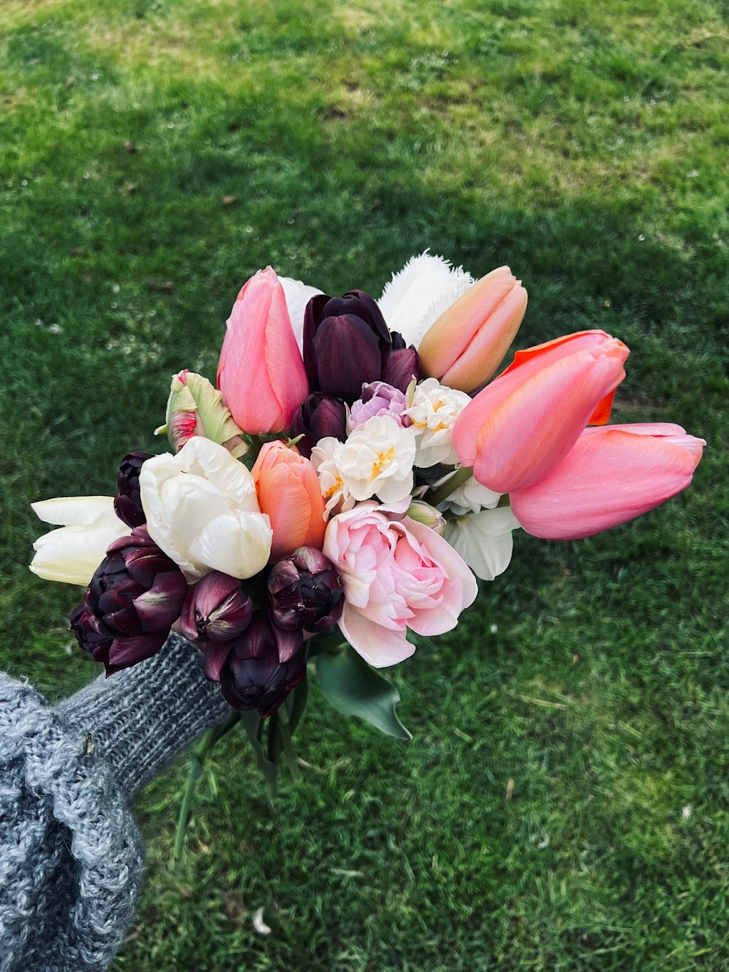 Fuller Farm Organics | 741 Haliburton Rd, Victoria, BC V8Y 1H7, Canada | Phone: (867) 334-3770