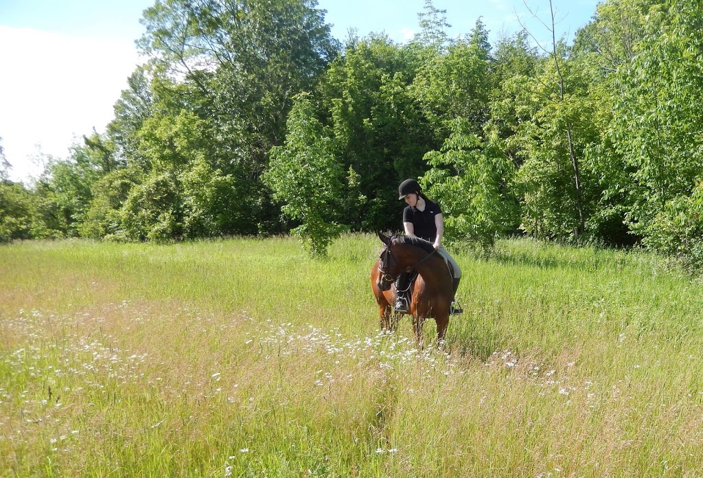 Foxwood Farm Equestrian Centre | 2042 Line 13, Gilford, ON L0L 1R0, Canada | Phone: (905) 775-0155