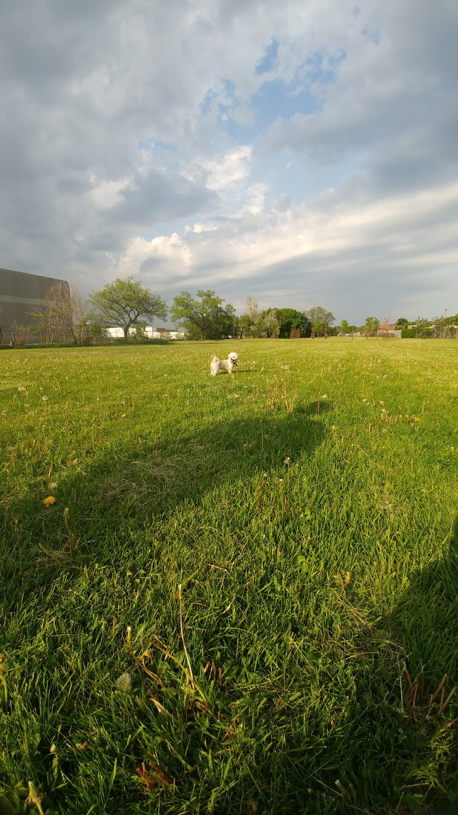Queensland Park | 65 Brawley Ave, Etobicoke, ON M8Z 4Z5, Canada | Phone: (416) 338-4386