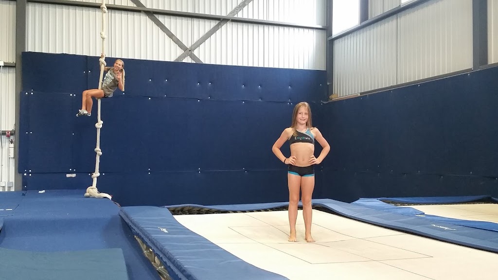 Division Cheerleading Coyotes | 50 Av. Liberté, Candiac, QC J5R 6X1, Canada | Phone: (450) 633-2433