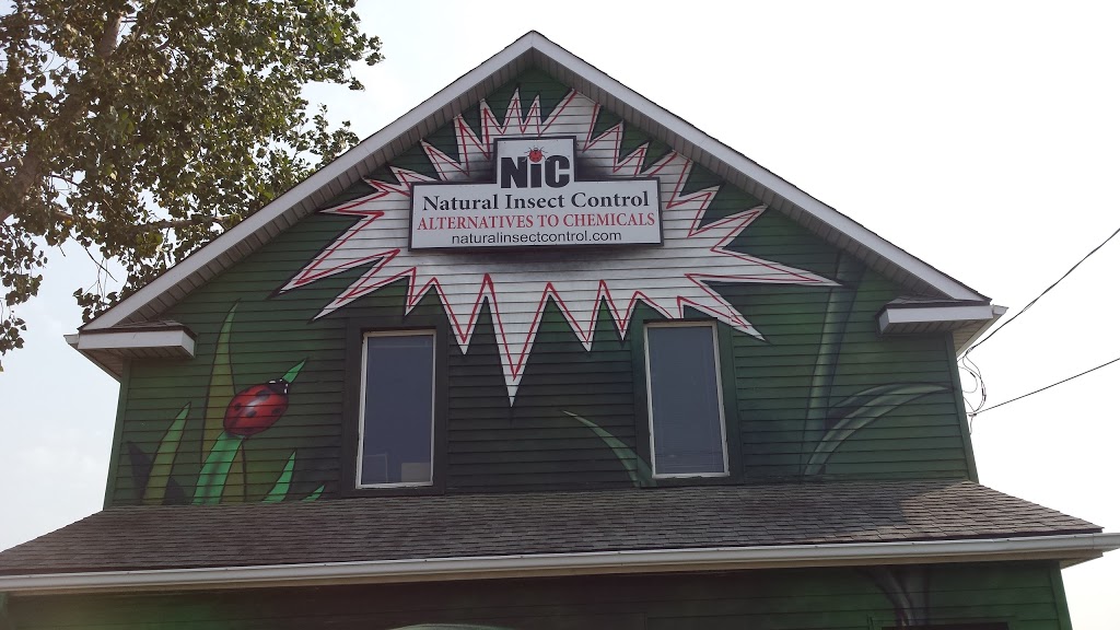 Natural Insect Control | 3737 Netherby Rd, Stevensville, ON L0S 1S0, Canada | Phone: (905) 382-2904