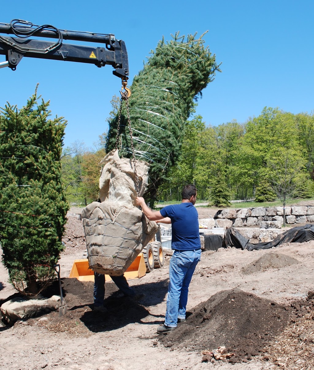Cerelli Tree Farm | 8042 Appleby Line, Milton, ON L9T 2Y1, Canada | Phone: (905) 299-9677