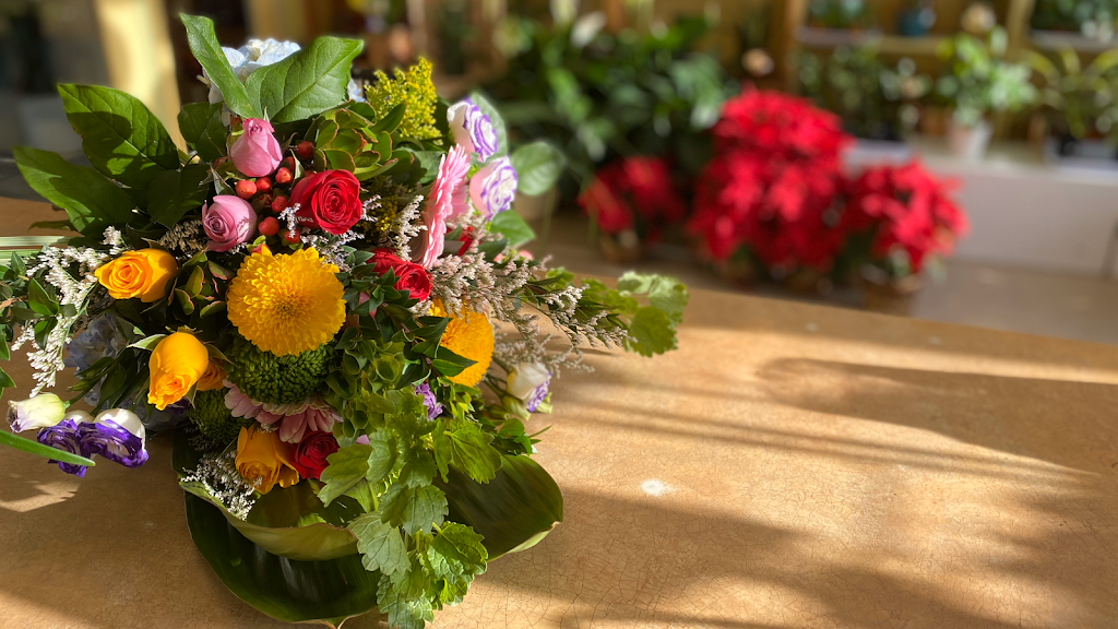 Flower Trends Florists | 114 Woodlawn Rd, Dartmouth, NS B2W 2S7, Canada | Phone: (877) 207-7673