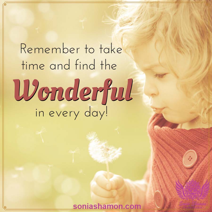 Psychic Medium Sonia Shamon | 121 Fallowfield Dr #1215, Kitchener, ON N2C 0B3, Canada | Phone: (226) 600-0235