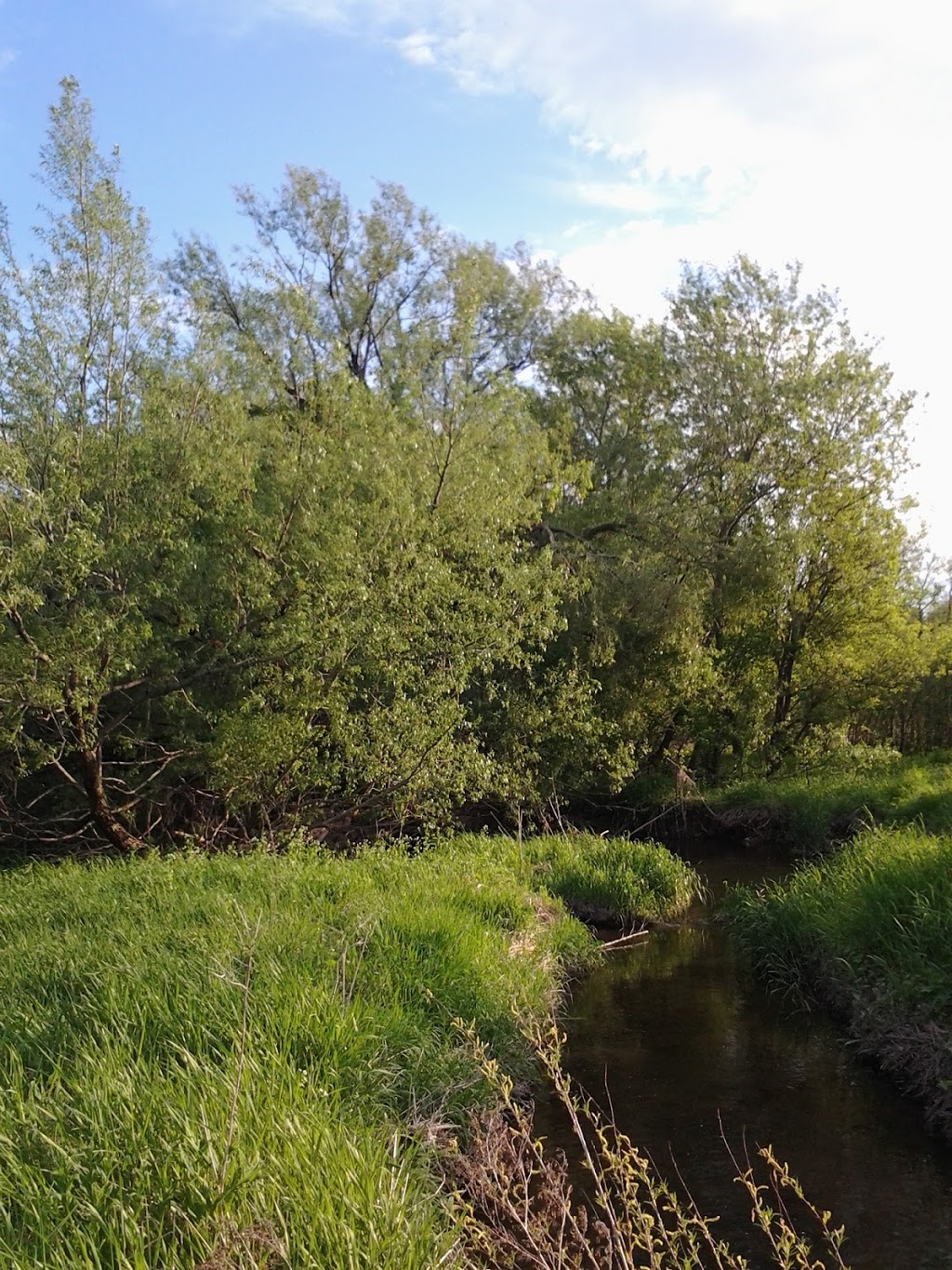 Byers Pond Park | Byers Pond Way, Whitchurch-Stouffville, ON L4A 0M4, Canada