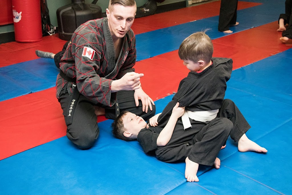 Hiltz Hapkido | 550 Cataraqui Woods Dr, Kingston, ON K7P 2Y5, Canada | Phone: (613) 639-2831