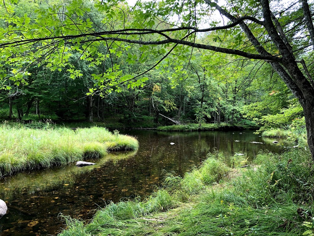 White Rock River Hike | Deep Hollow Rd, Wolfville, NS B4P 2R2, Canada | Phone: (902) 476-1613