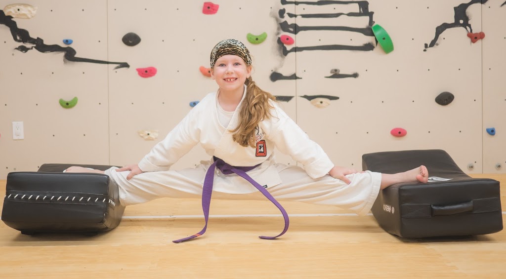 Toraguchi Martial Arts | 785 Pacific Rd Unit 15, Oakville, ON L6L 6M3, Canada | Phone: (905) 849-7625