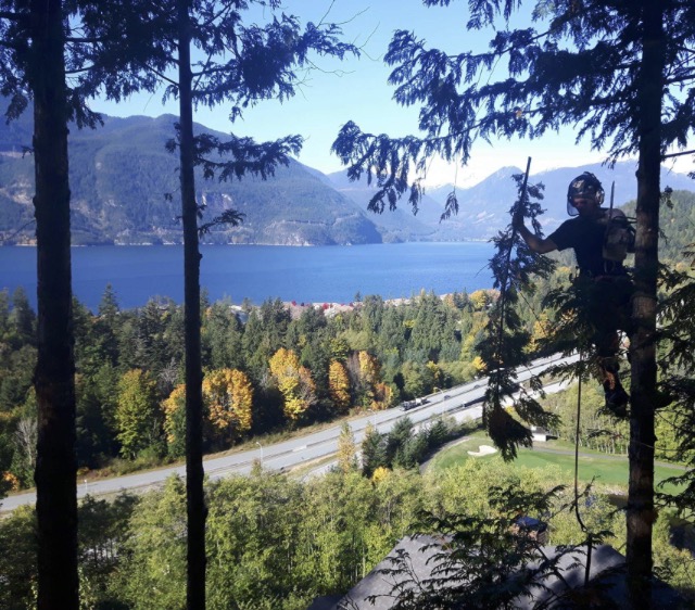 Windfirm Tree Services Ltd | Box 431, 38064 Cleveland Ave, Squamish, BC V8B 0A4, Canada | Phone: (604) 892-7587