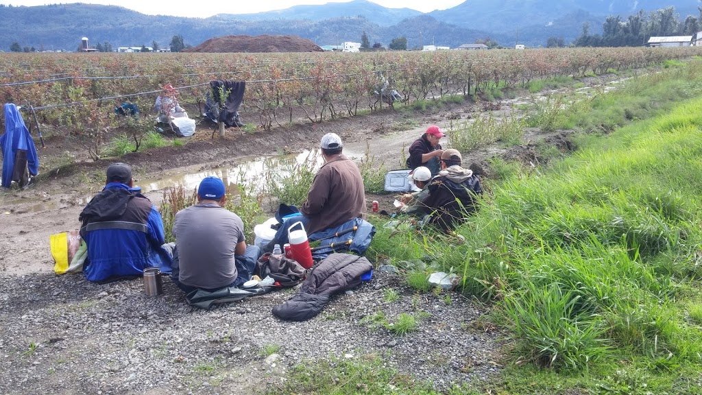 Jem Farms | 35073 Boundary Rd, Abbotsford, BC V2S 7L8, Canada | Phone: (604) 850-0216