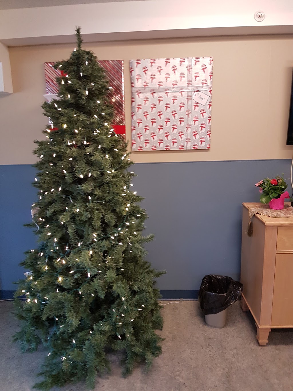 Extendicare Stoneridge Manor Long-Term Care Home | 256 High St, Carleton Place, ON K7C 1X1, Canada | Phone: (613) 257-4355