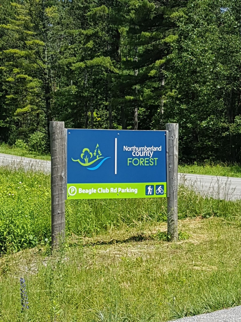Beagle Club Trailhead, Northumberland County Forest | Beagle Club Rd, Harwood, ON K0K 2H0, Canada | Phone: (905) 372-3329