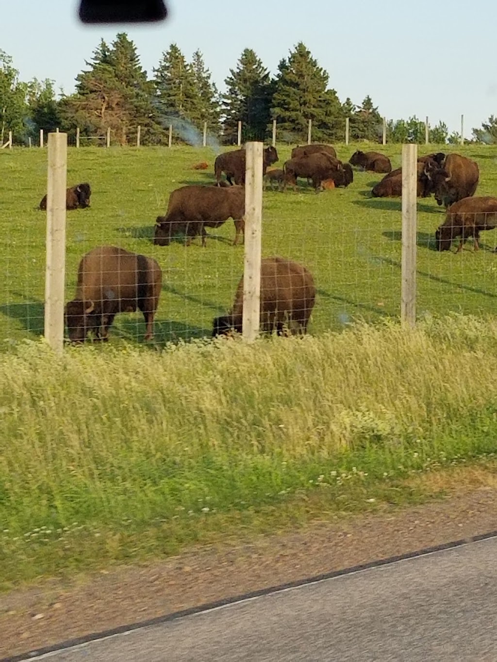 PEI TASTING TOURS | 11242 Shore Rd, Murray River, PE C0A 1W0, Canada | Phone: (902) 330-2739