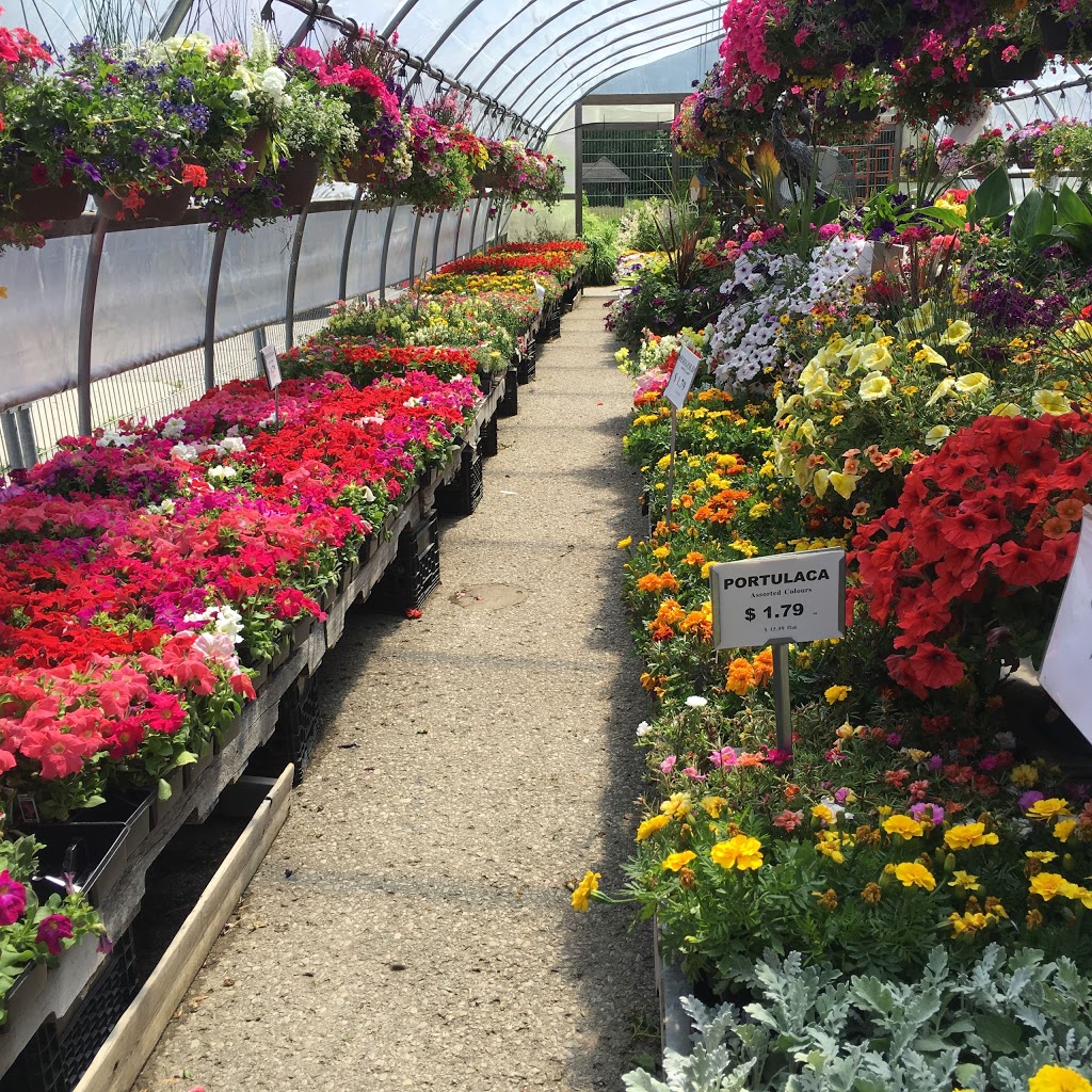 Naturipe Food Market Inc | 239 Portage Rd, Bolsover, ON K0M 1B0, Canada | Phone: (705) 426-5324